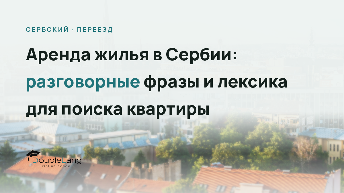 Аренда жилья в Сербии: разговорные фразы и лексика для поиска квартиры