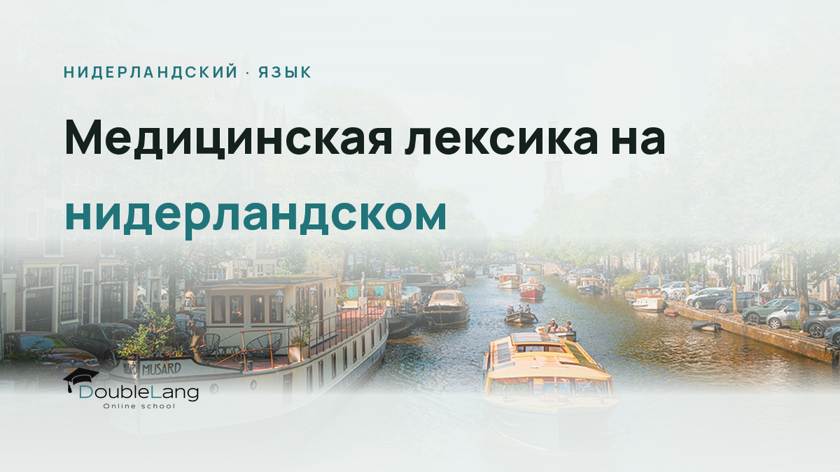Медицинская лексика на нидерландском: как объясниться у врача и в аптеке