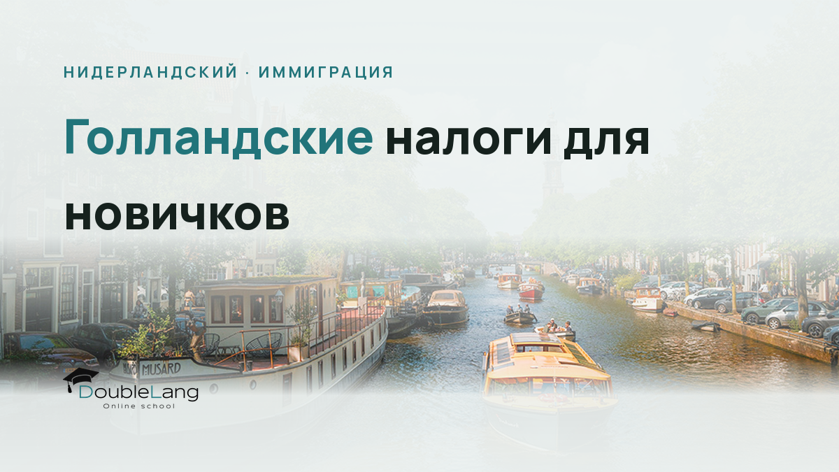 Голландские налоги для новичков: как разобраться в Belastingdienst и подать первую декларацию