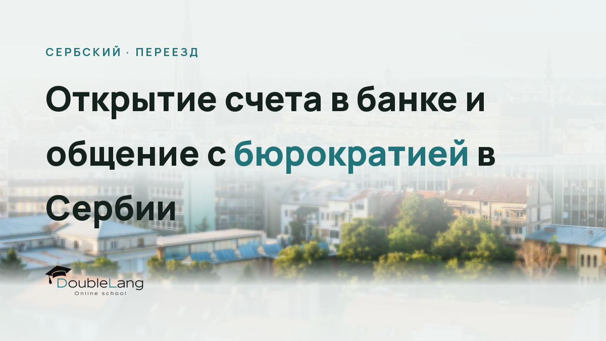 Открытие счета в банке и общение с бюрократией в Сербии: нужная лексика и фразы