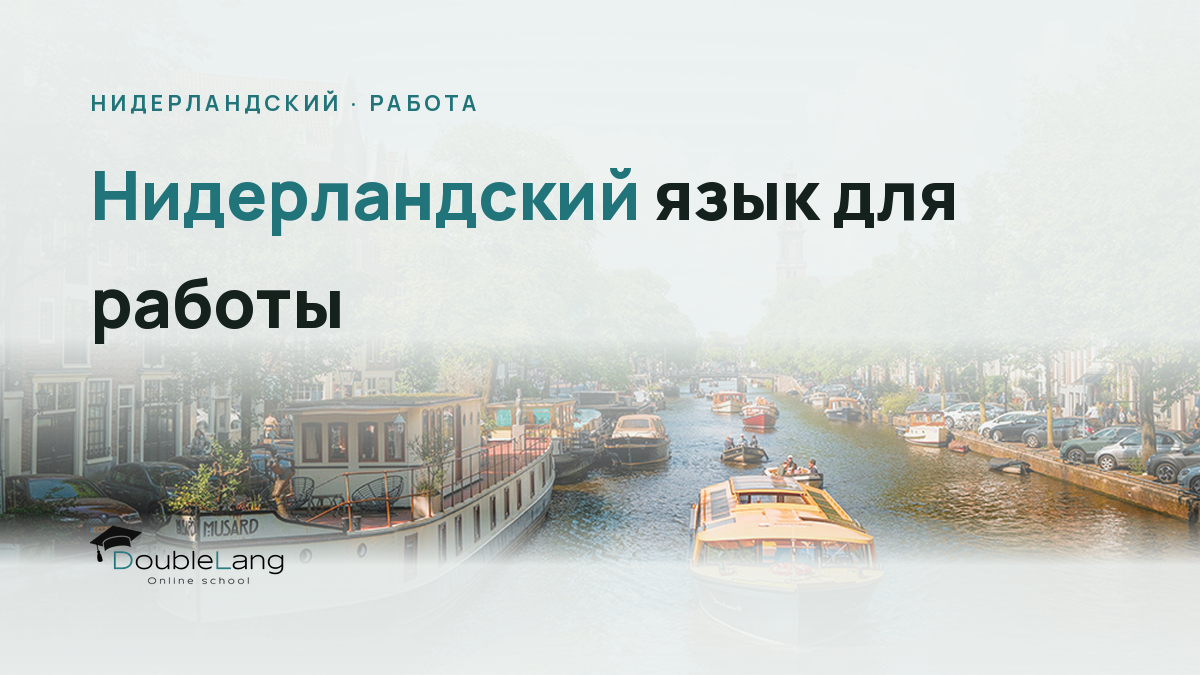 Нидерландский язык для работы: как читать вакансии и говорить в офисе