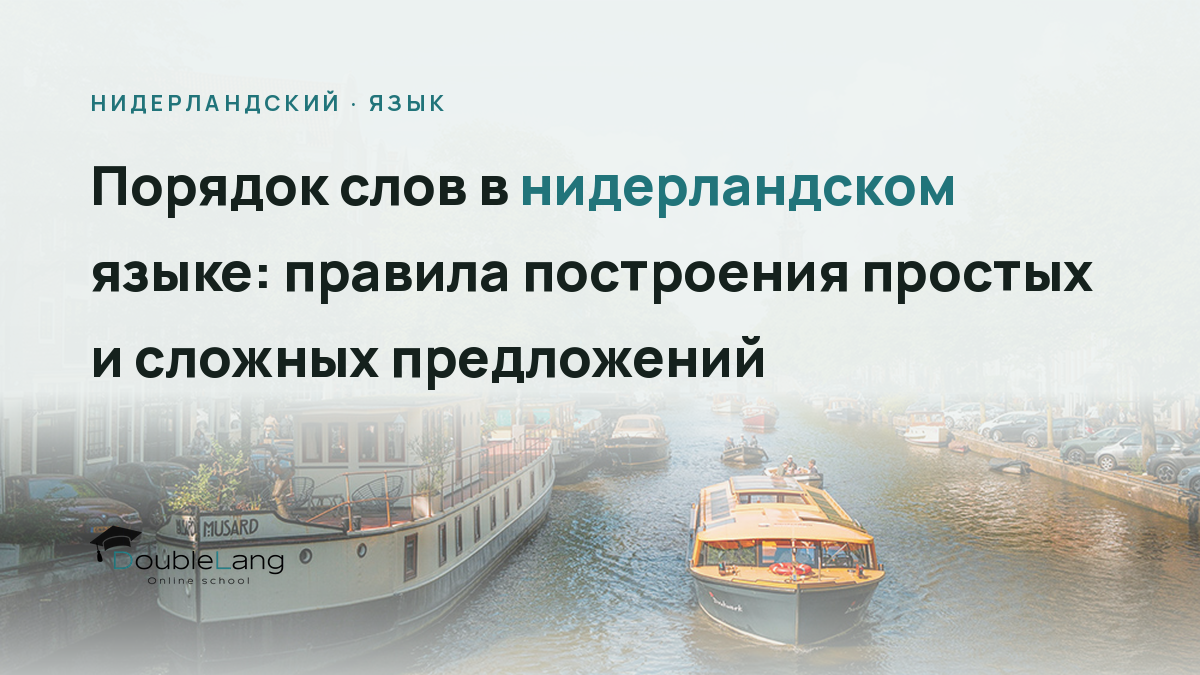Порядок слов в нидерландском языке: правила построения простых и сложных предложений