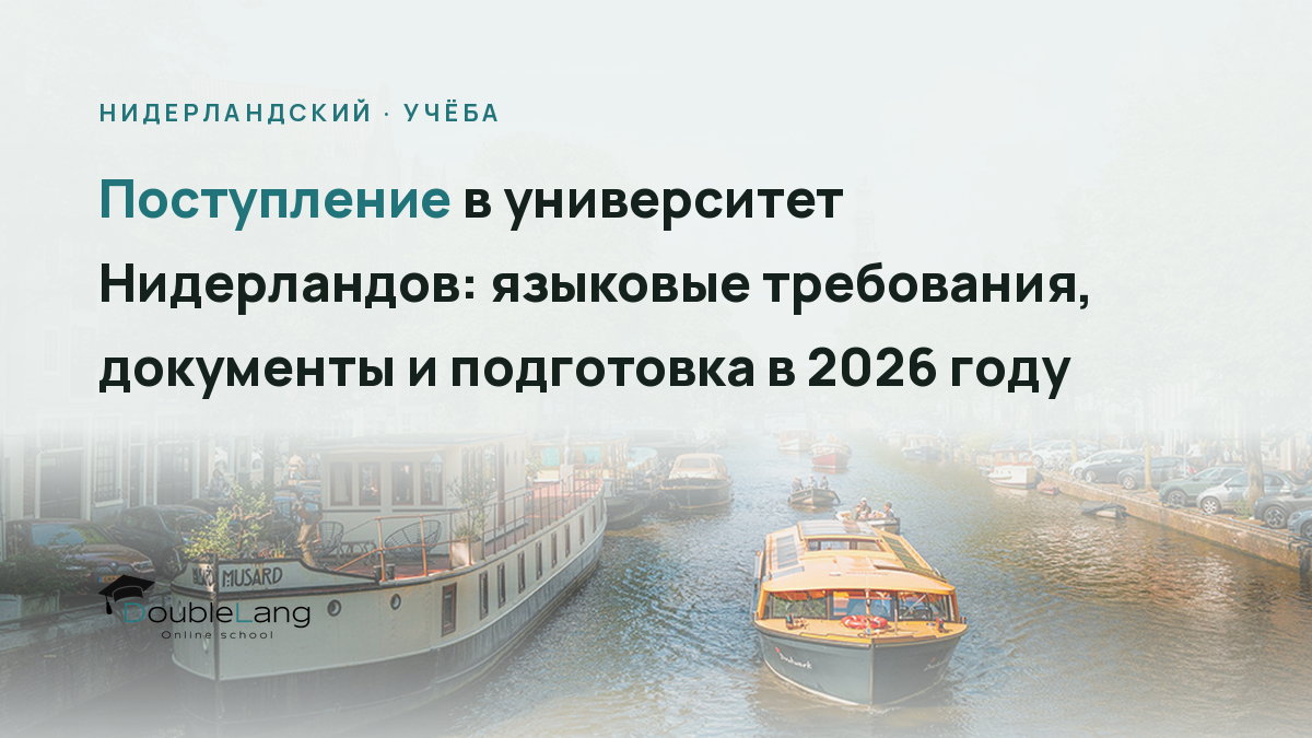 Поступление в университет Нидерландов: языковые требования, документы и подготовка в 2026 году