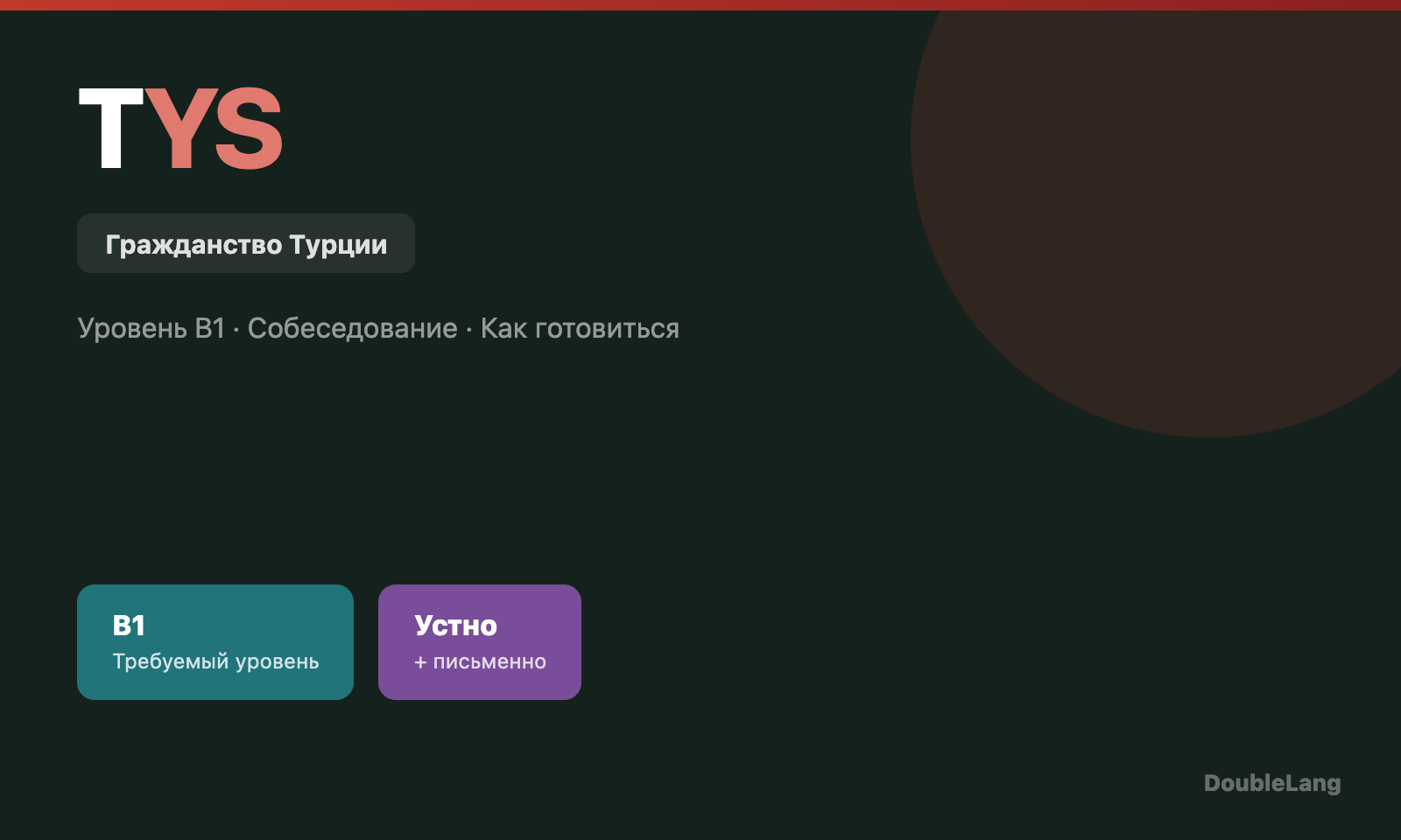 Турецкий язык для гражданства: как сдать экзамен и получить паспорт