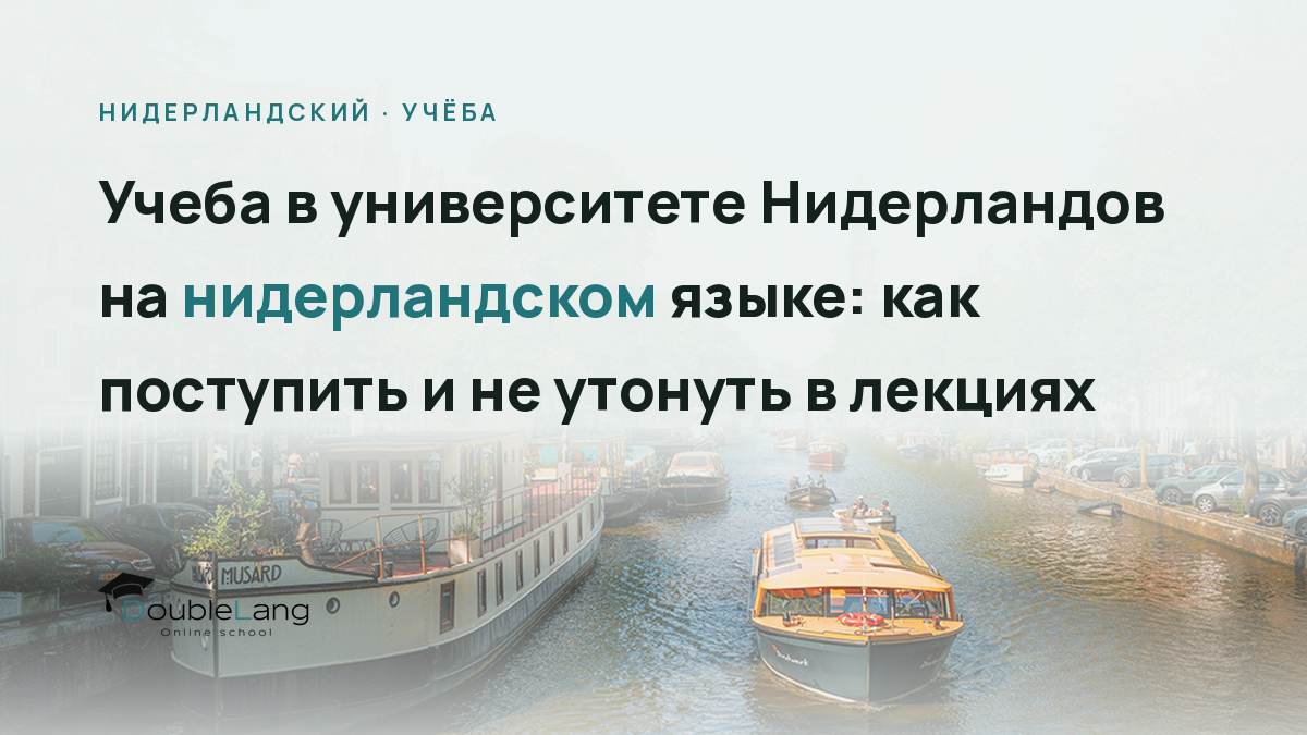 Учеба в университете Нидерландов на нидерландском языке: как поступить и не утонуть в лекциях