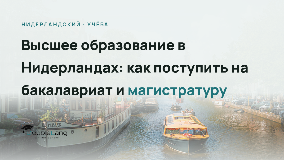 Высшее образование в Нидерландах: как поступить на бакалавриат и магистратуру